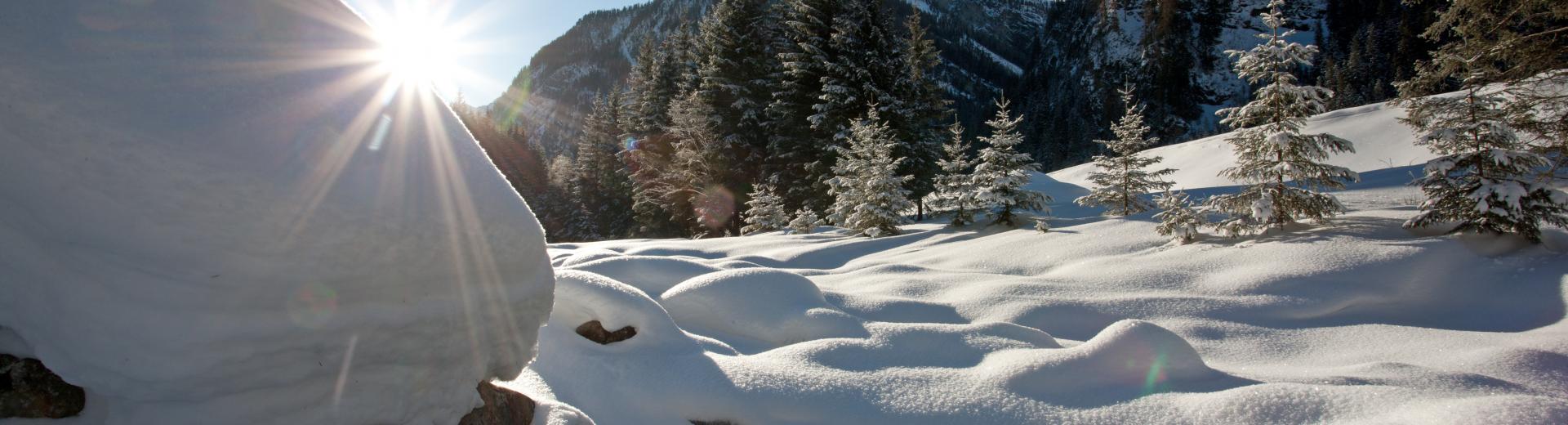  ©SalzburgerLand Tourismus_5 Winterlandschaft.jpg
