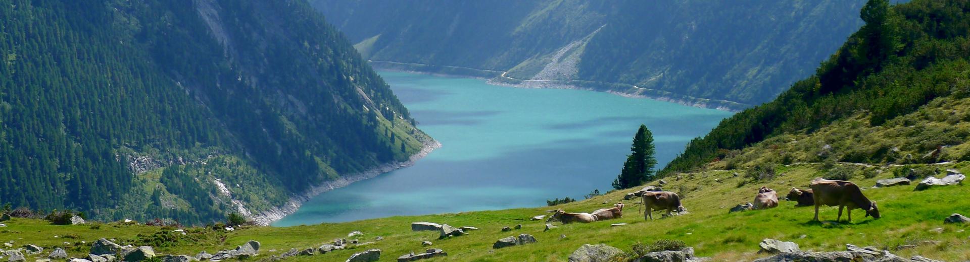  Zillertal lake-1563729_Pixabay.jpg