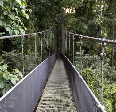 Costa Rica_Regenwald Brücke