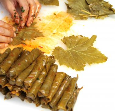  Griechenl_Weinblätter_© Shutterstock Hayati Kayhan.jpg