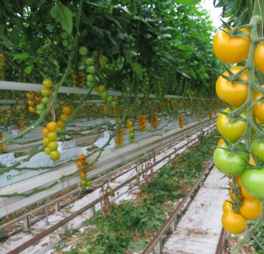 Niederlande Maifahrt 2019