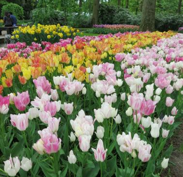 Niederlande Maifahrt 2019