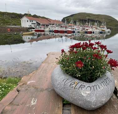 Nordnorwegen mit Lappland & Lofoten 2019