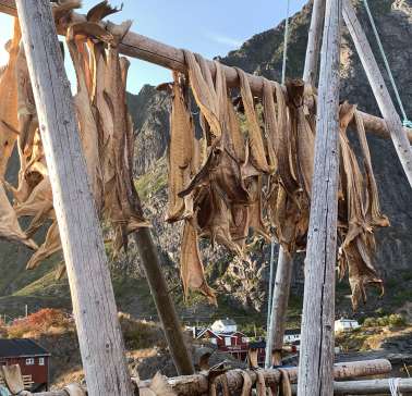 Nordnorwegen mit Lappland & Lofoten 2019