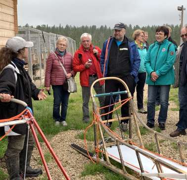 Nordnorwegen mit Lappland & Lofoten 2019