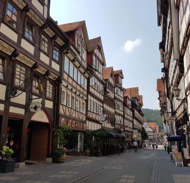 Lüneburger Heide 2019