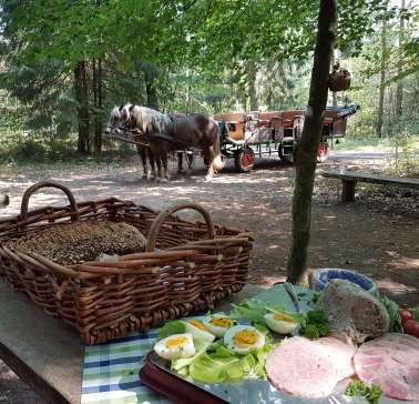 Lüneburger Heide 2019