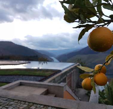 Douro 2019