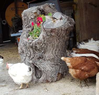 Meraner Unterland©ADB.jpg