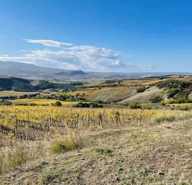 Toskana Weinreise 2021©ADB