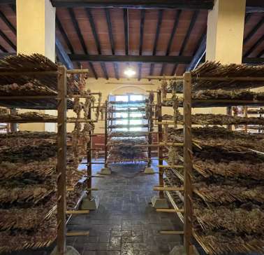 Toskana Weinreise 2021©ADB