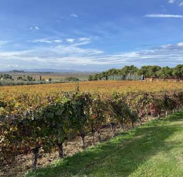 Toskana Weinreise 2021©ADB