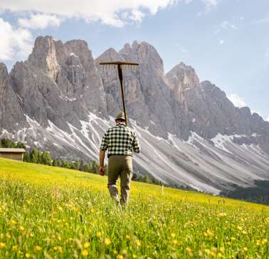 ©IDM_Sennereiverband Südtirol_Marco Parisi 57