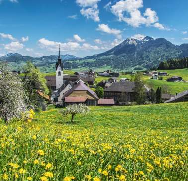 Frühling in Schwarzenberg (c) Michael Meusburger - Bregenzerwald Tourismus