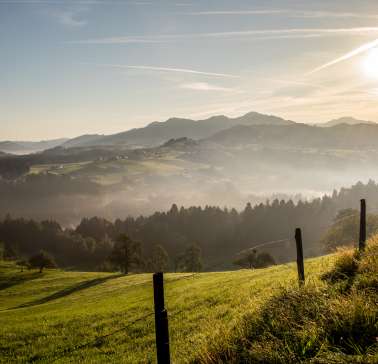 Kulturlandschaft Bregenzerwald (c) Christian Greither - Bregenzerwald Tourismus