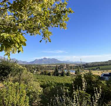 Südafrika Weinreise 2023©ADB