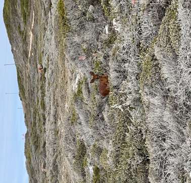 Südafrika Weinreise 2023©ADB