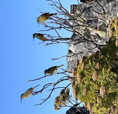 Südafrika Weinreise 2023©ADB