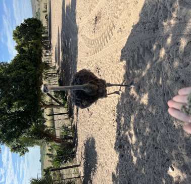 Südafrika Weinreise 2023©ADB