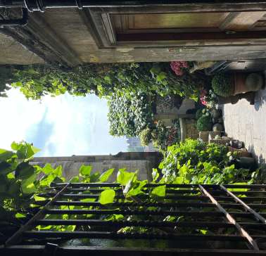 Schottland 2023©ADB