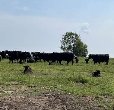 Schottland 2023©ADB