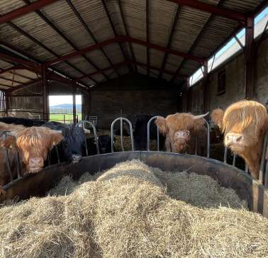 Schottland 2023©ADB