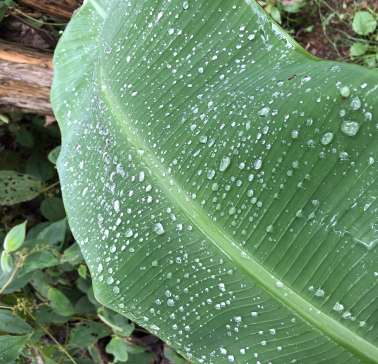 AIDA Karibik & Mittelamerika 2024©ADB