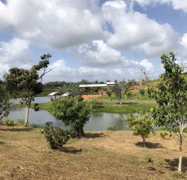 AIDA Karibik & Mittelamerika 2024©ADB