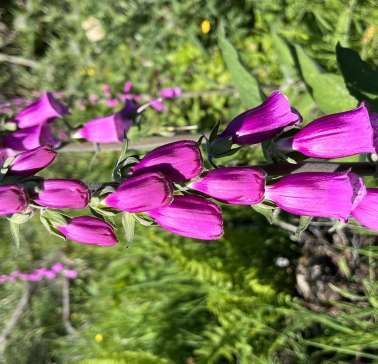 Schottland 2023©ADB