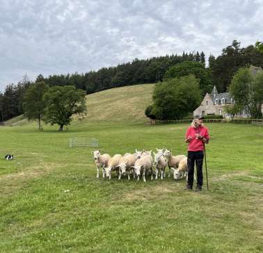 Schottland 2023©ADB