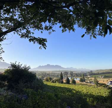 Südafrika Weinreise 2023©ADB