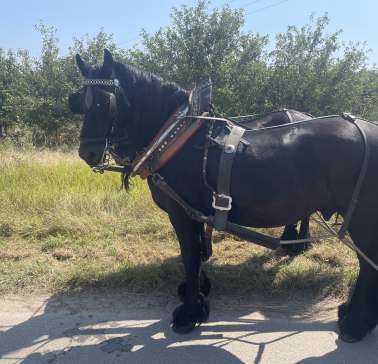 Rad&Schiff 2024©ADB