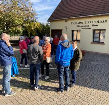WeinvisiteElsass 2025©Petra Littner
