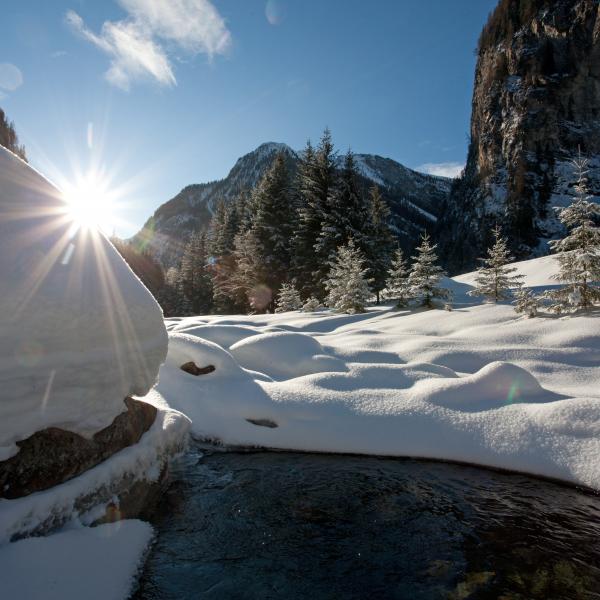  ©SalzburgerLand Tourismus_5 Winterlandschaft.jpg