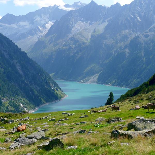  Zillertal lake-1563729_Pixabay.jpg