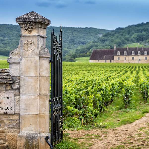 Burgund©shutterstock